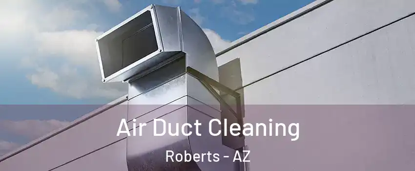 Air Duct Cleaning Roberts - AZ