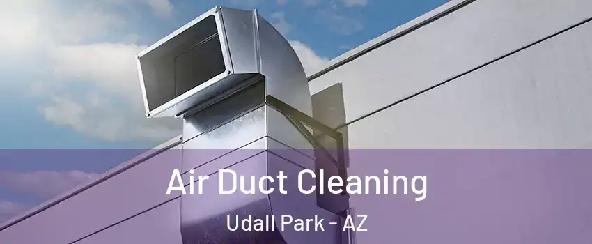 Air Duct Cleaning Udall Park - AZ