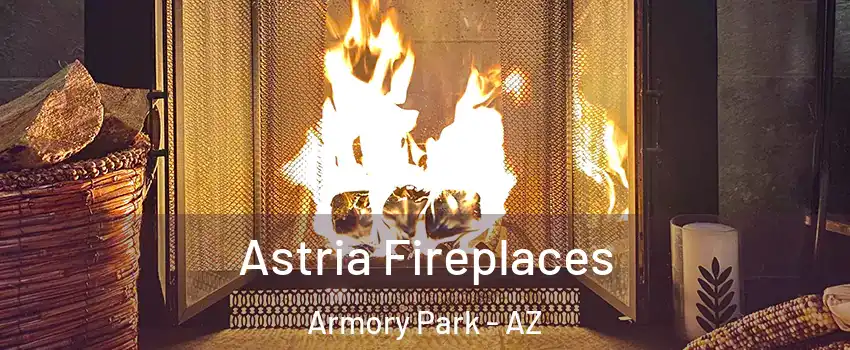 Astria Fireplaces Armory Park - AZ