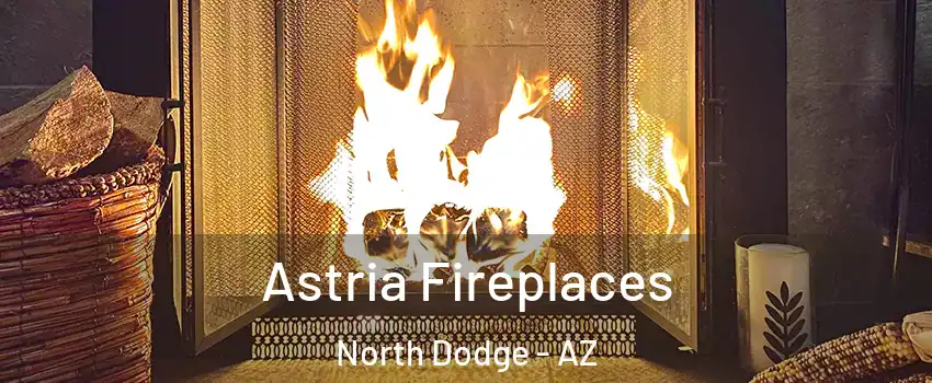Astria Fireplaces North Dodge - AZ