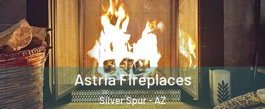Astria Fireplaces Silver Spur - AZ