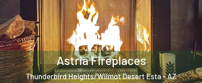 Astria Fireplaces Thunderbird Heights/Wilmot Desert Esta - AZ