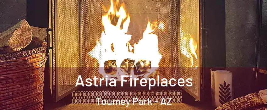 Astria Fireplaces Toumey Park - AZ