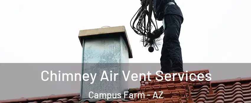 Chimney Air Vent Services Campus Farm - AZ