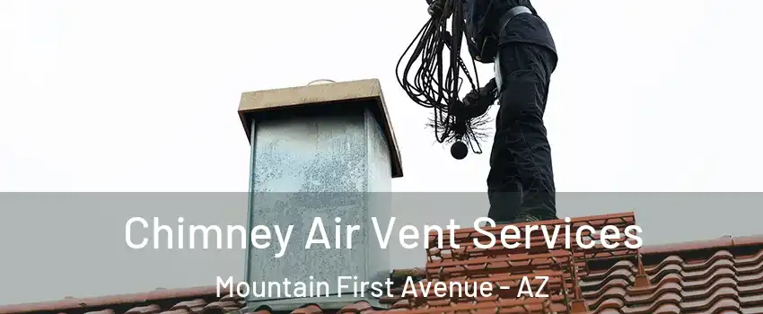 Chimney Air Vent Services Mountain First Avenue - AZ