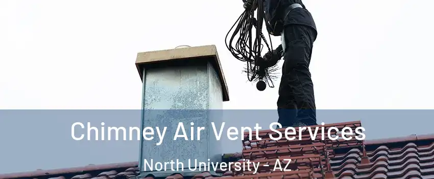 Chimney Air Vent Services North University - AZ