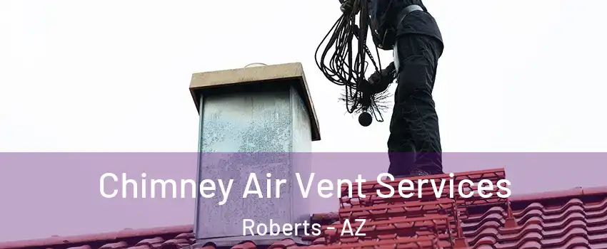 Chimney Air Vent Services Roberts - AZ