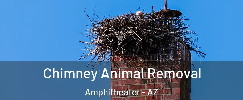 Chimney Animal Removal Amphitheater - AZ