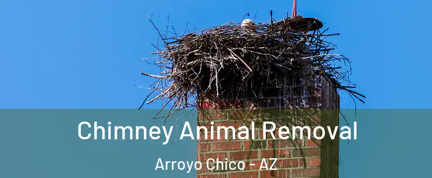 Chimney Animal Removal Arroyo Chico - AZ