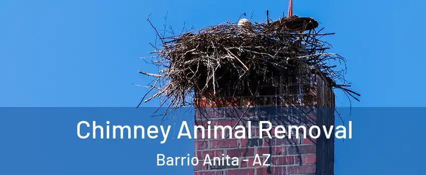 Chimney Animal Removal Barrio Anita - AZ