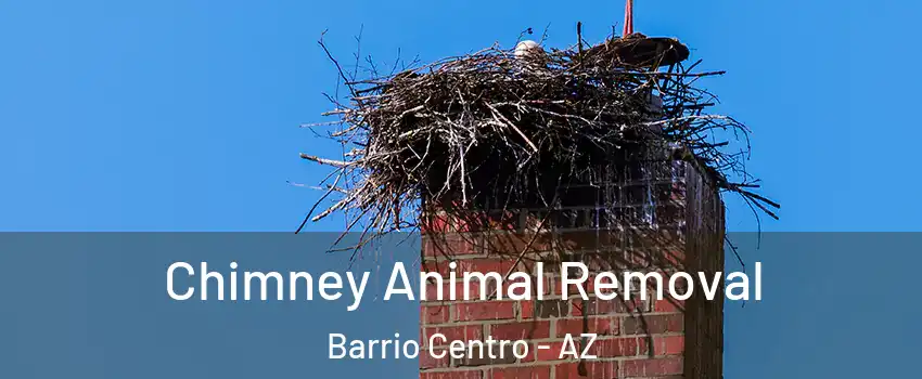Chimney Animal Removal Barrio Centro - AZ