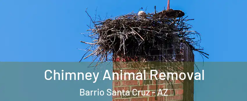 Chimney Animal Removal Barrio Santa Cruz - AZ
