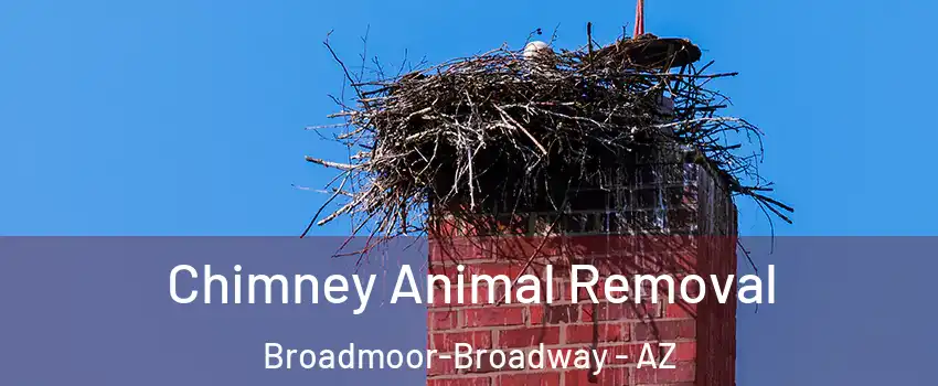 Chimney Animal Removal Broadmoor-Broadway - AZ