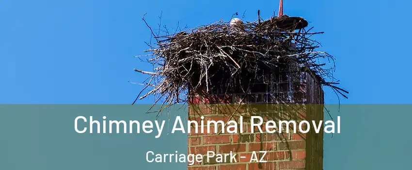 Chimney Animal Removal Carriage Park - AZ