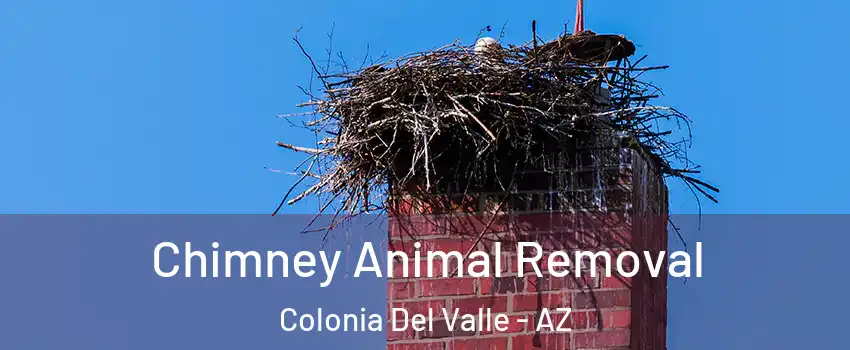 Chimney Animal Removal Colonia Del Valle - AZ