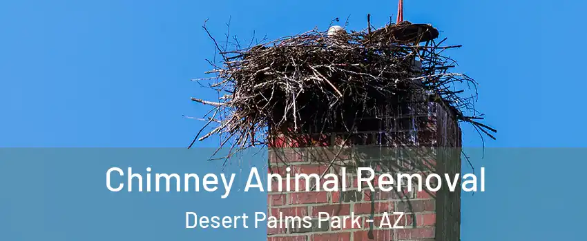 Chimney Animal Removal Desert Palms Park - AZ