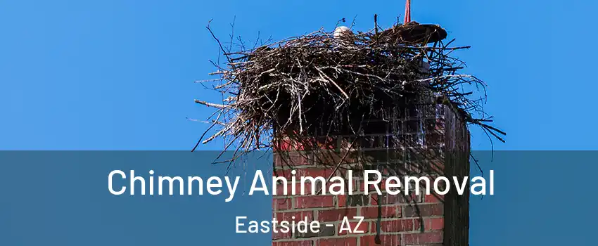 Chimney Animal Removal Eastside - AZ