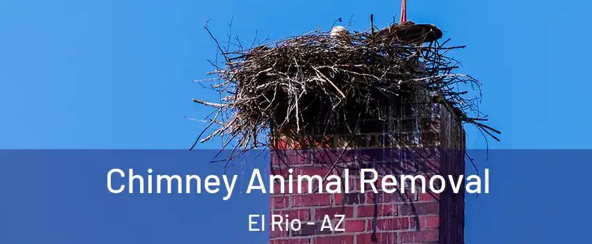 Chimney Animal Removal El Rio - AZ