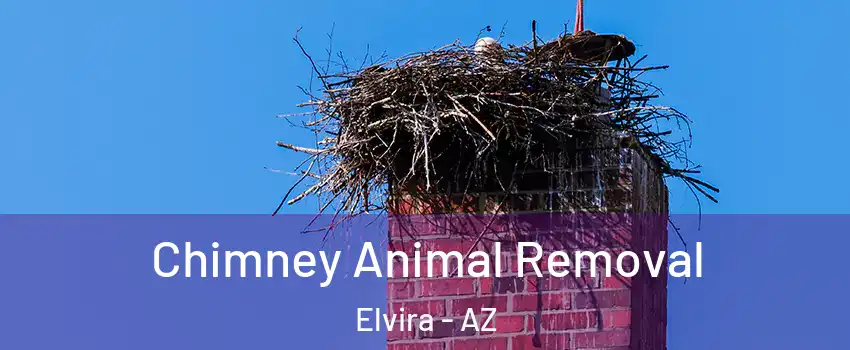 Chimney Animal Removal Elvira - AZ