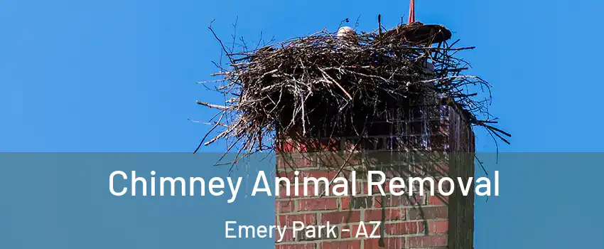 Chimney Animal Removal Emery Park - AZ