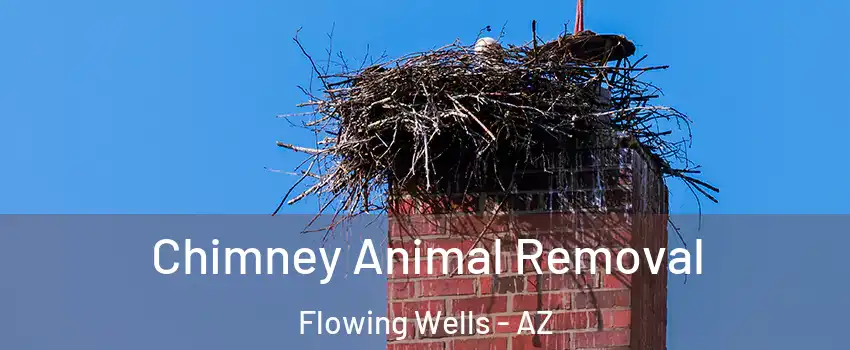 Chimney Animal Removal Flowing Wells - AZ