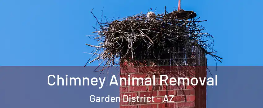 Chimney Animal Removal Garden District - AZ