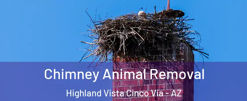 Chimney Animal Removal Highland Vista Cinco Via - AZ