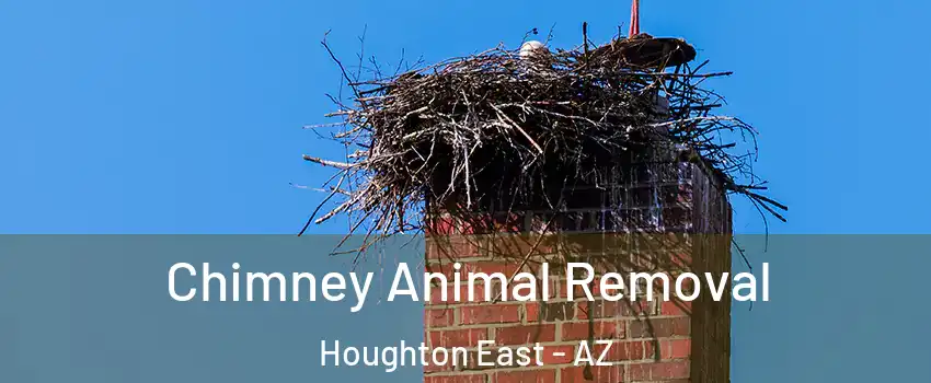 Chimney Animal Removal Houghton East - AZ