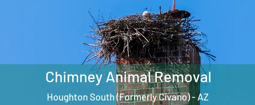 Chimney Animal Removal Houghton South (Formerly Civano) - AZ