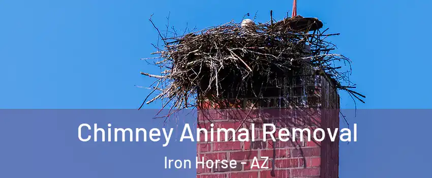 Chimney Animal Removal Iron Horse - AZ