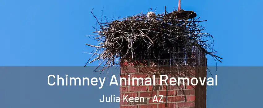 Chimney Animal Removal Julia Keen - AZ