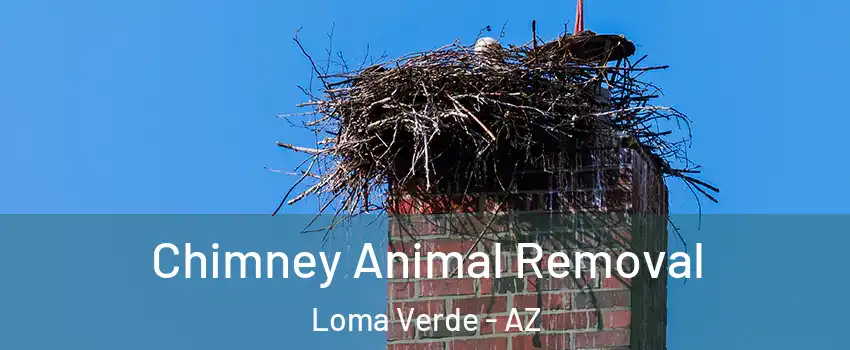 Chimney Animal Removal Loma Verde - AZ