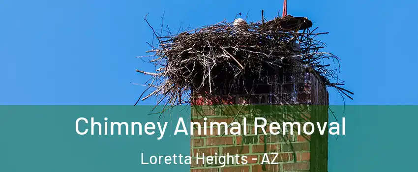 Chimney Animal Removal Loretta Heights - AZ