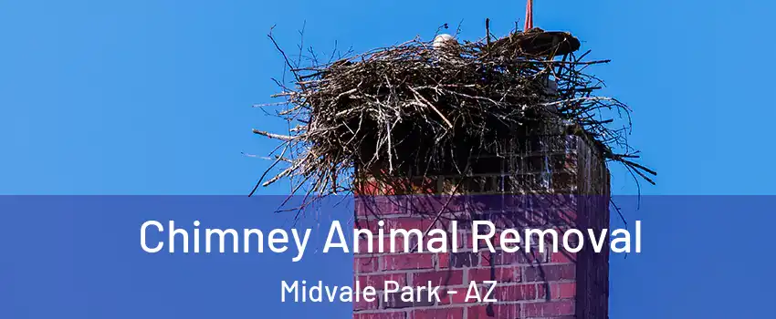 Chimney Animal Removal Midvale Park - AZ