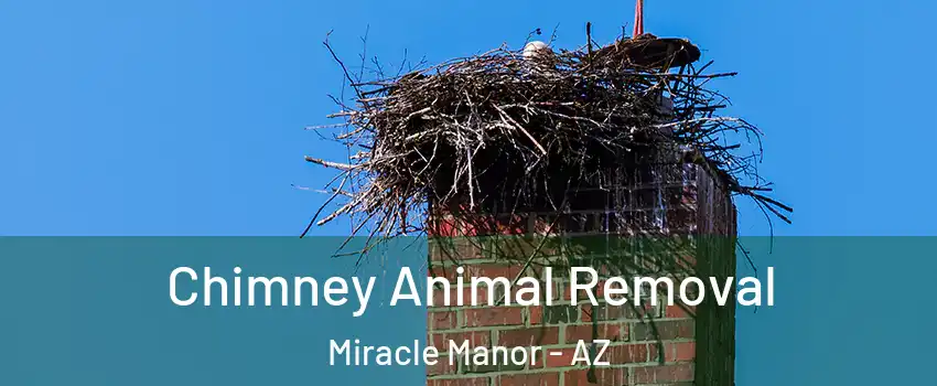 Chimney Animal Removal Miracle Manor - AZ