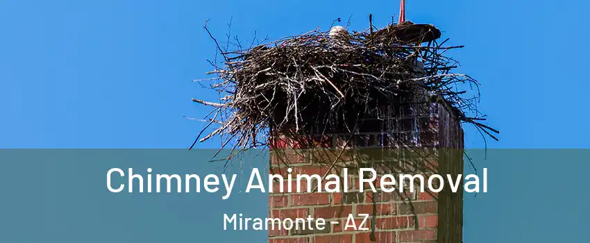 Chimney Animal Removal Miramonte - AZ