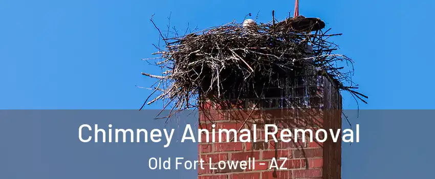 Chimney Animal Removal Old Fort Lowell - AZ