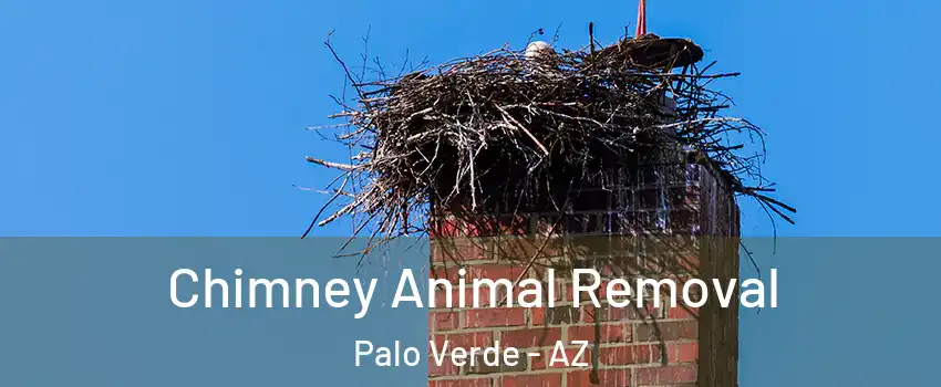 Chimney Animal Removal Palo Verde - AZ