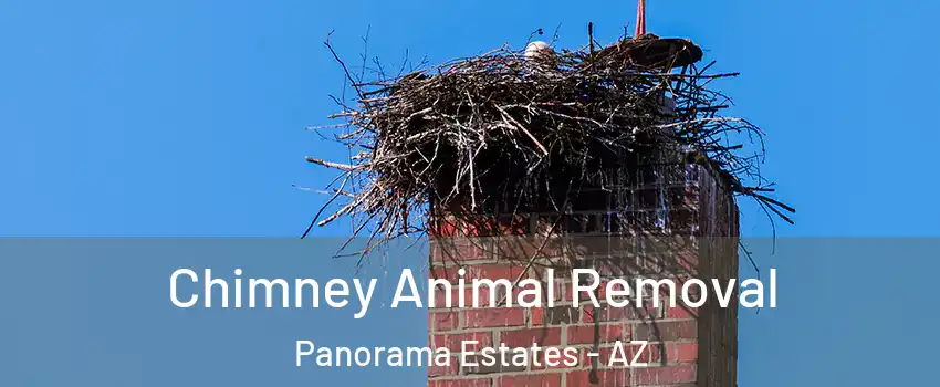 Chimney Animal Removal Panorama Estates - AZ