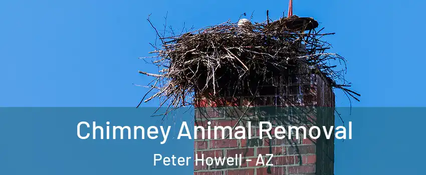 Chimney Animal Removal Peter Howell - AZ