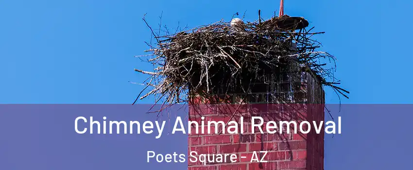 Chimney Animal Removal Poets Square - AZ