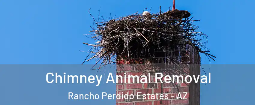 Chimney Animal Removal Rancho Perdido Estates - AZ