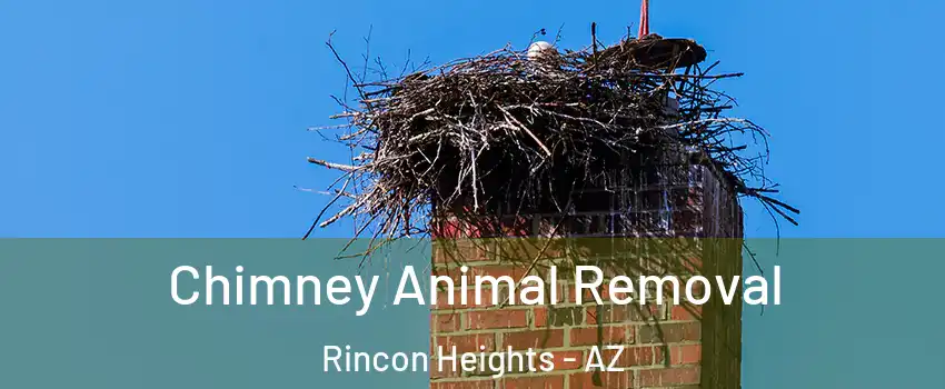 Chimney Animal Removal Rincon Heights - AZ