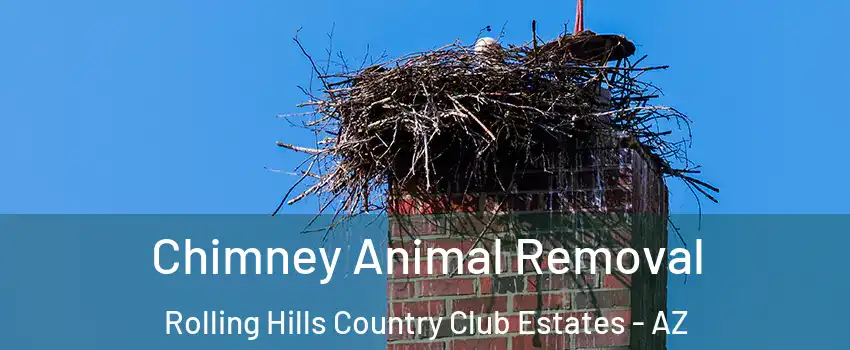 Chimney Animal Removal Rolling Hills Country Club Estates - AZ