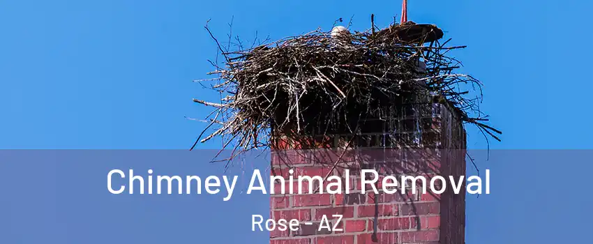 Chimney Animal Removal Rose - AZ