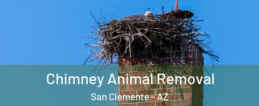 Chimney Animal Removal San Clemente - AZ