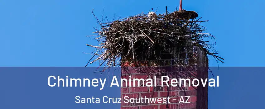 Chimney Animal Removal Santa Cruz Southwest - AZ