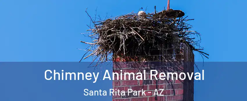 Chimney Animal Removal Santa Rita Park - AZ
