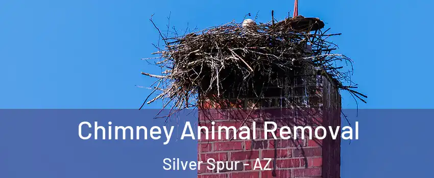 Chimney Animal Removal Silver Spur - AZ