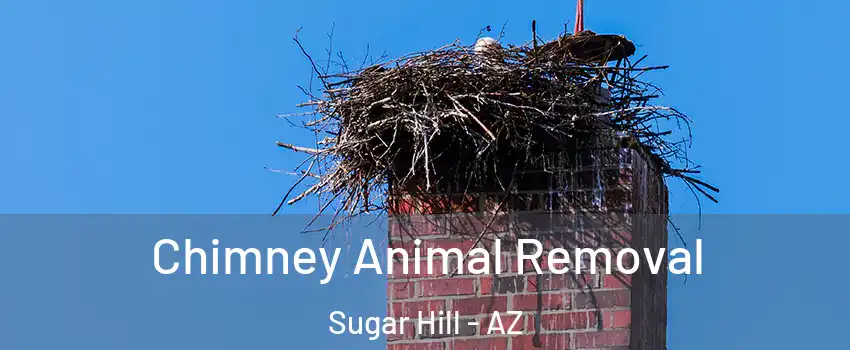 Chimney Animal Removal Sugar Hill - AZ